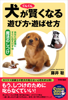 犬がぐんぐん賢くなる遊び方・遊ばせ方