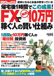2012年7月号増刊「帰宅後１時間でこの成果！FXで毎週10万円稼ぐ人の賢い仕組み」