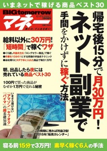 2015年7月号増刊 ネット副業で手間をかけずに稼ぐ方法