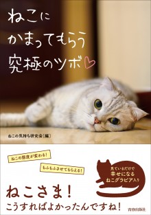 ねこにかまってもらう究極のツボ♡